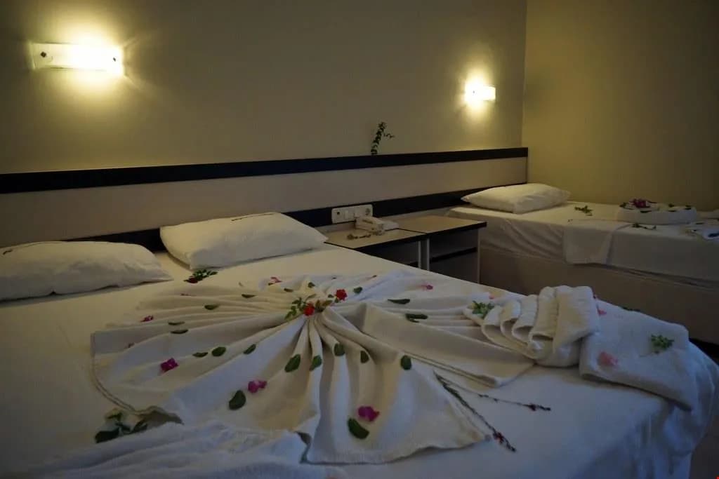 Standart Dağ Manzaralı Oda 3