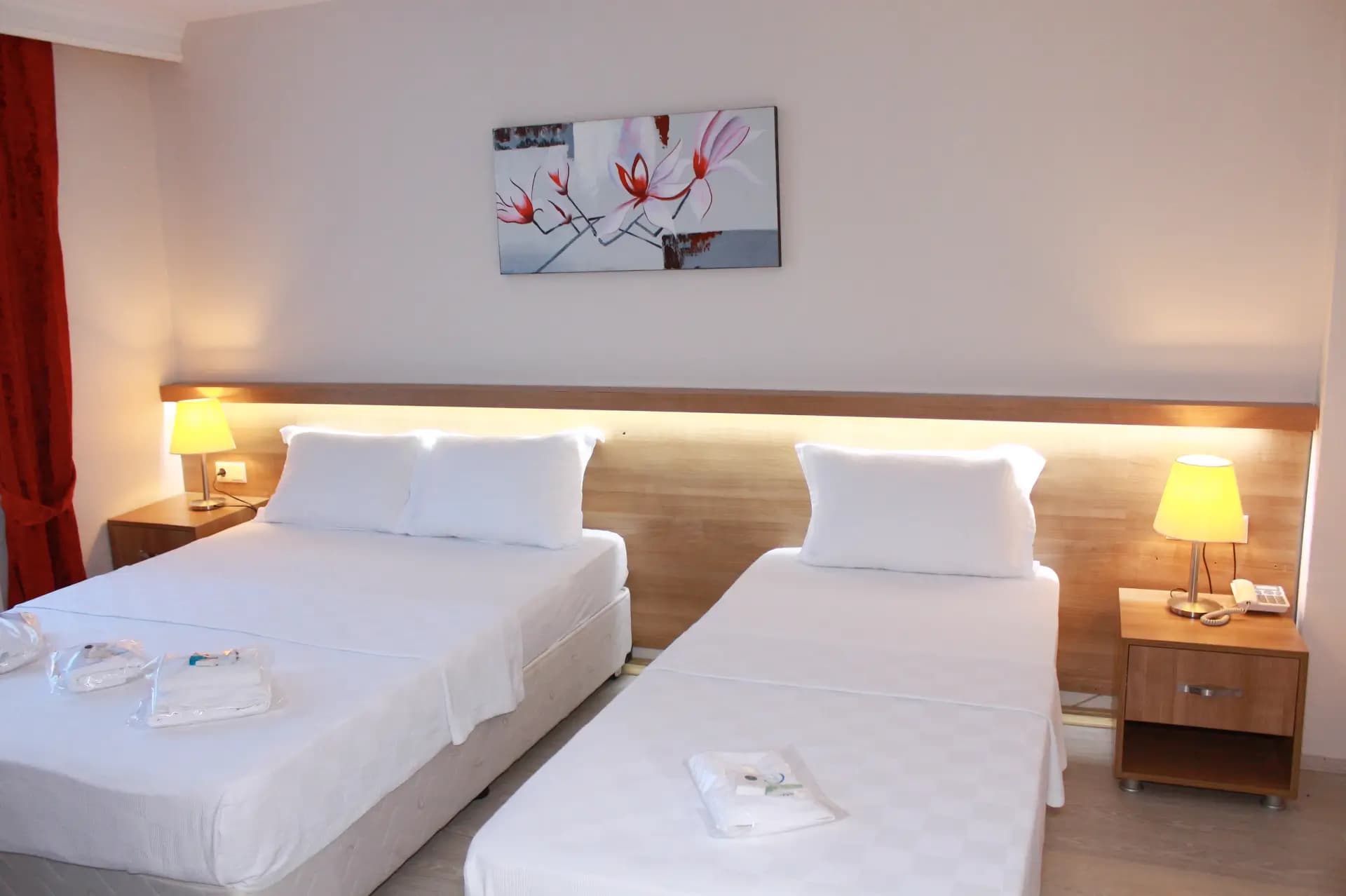 Deluxe Üç Kişilik Oda 1