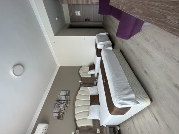 Dağ Manzaralı Standart Oda 2