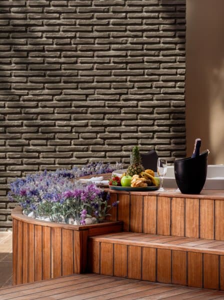 Teras Jakuzili Standart Oda  4