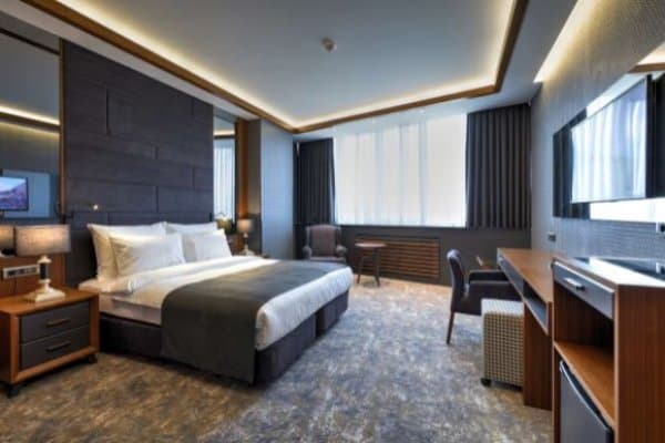 Şehir Manzaralı Standart Oda 1