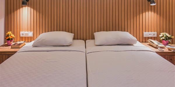 1+1 Dağ Manzaralı Daire  1