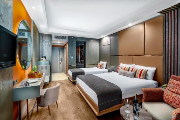 Kara Manzaralı Standart  Oda 1