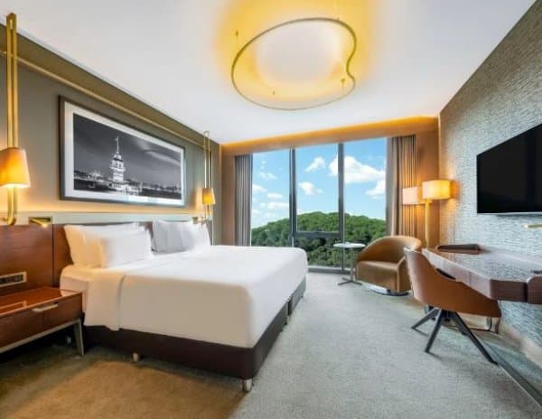 Collection Room Forest View 1