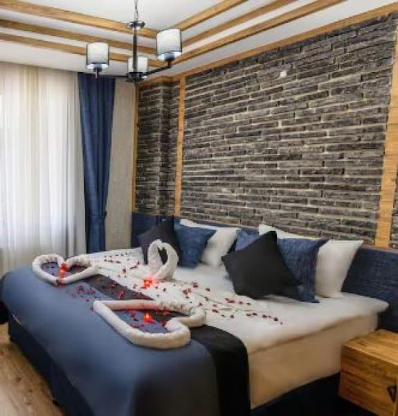 Superior Dağ Manzaralı Oda 2