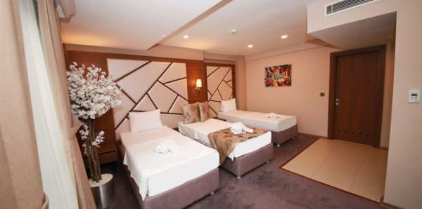 Standart Triple Oda 2