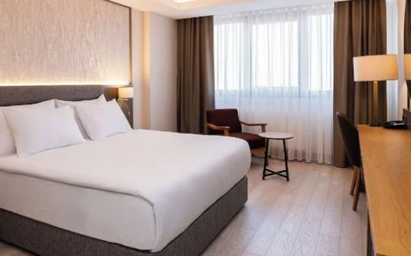 Standart French, Dağ veya Havuz Manzaralı 1