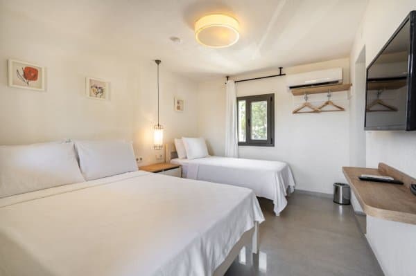 Standart Twin Oda  1