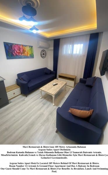 Artemis (Ek Bina 200M Mesafe-Bodrum Kat-Basement) 1