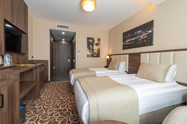 Superior Room with Twin Bed 2