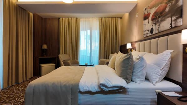 Deluxe Handicapped Room with French Bed 2