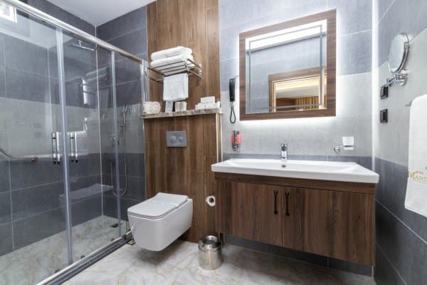 Deluxe Room City view Room with French Bed 4