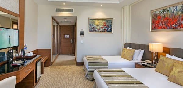 Standart Dağ Manzaralı Oda 3