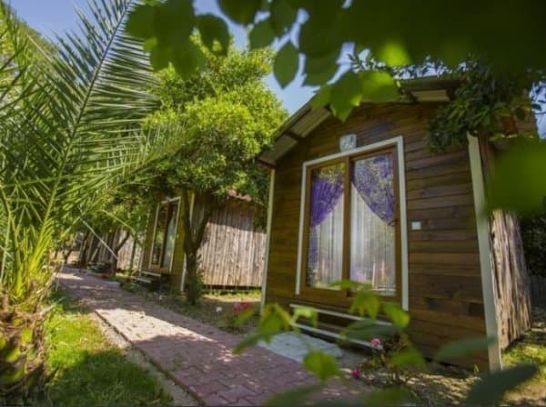 Standart Bungalow Twin Yataklı 1