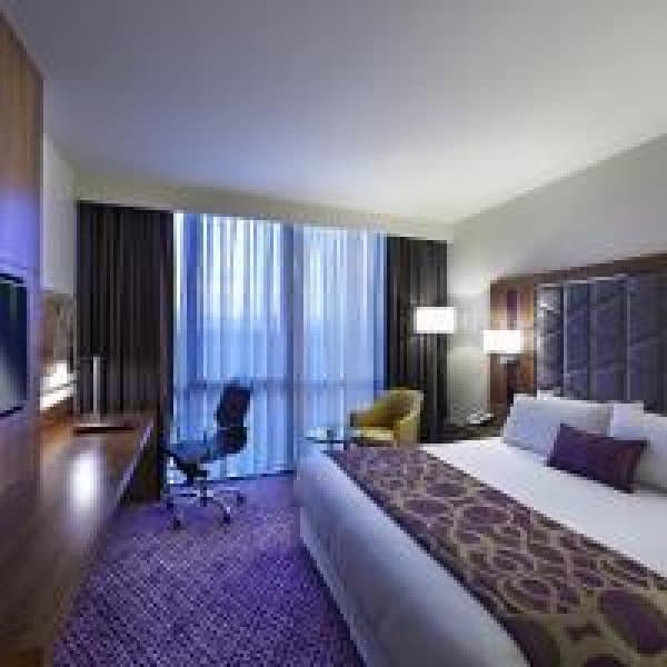 Deluxe King Room With City View 1