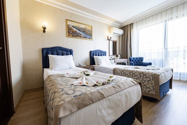 Şehir Manzaralı Fransız Balkonlu Twin Oda     1