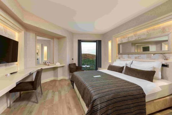 Deluxe King Room 1