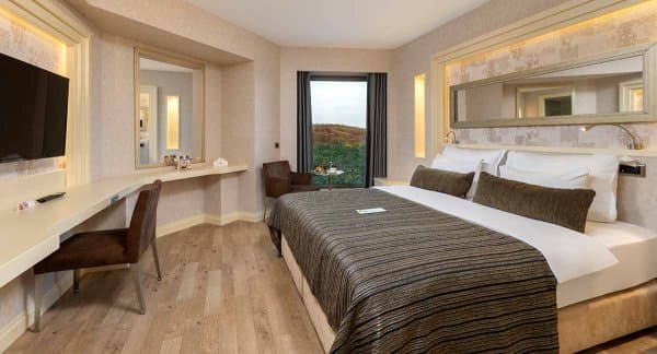 Deluxe King Room 4