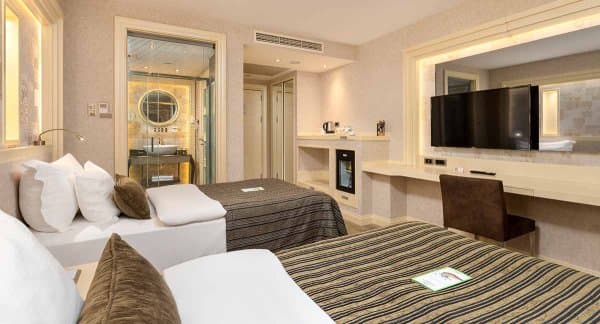 Deluxe Twin Room 1