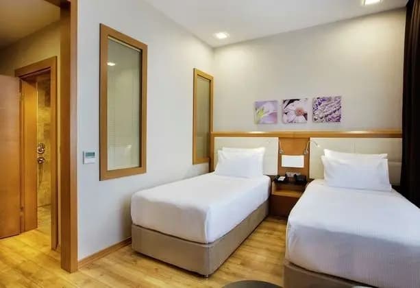 Standart Twin Yataklı Oda 1