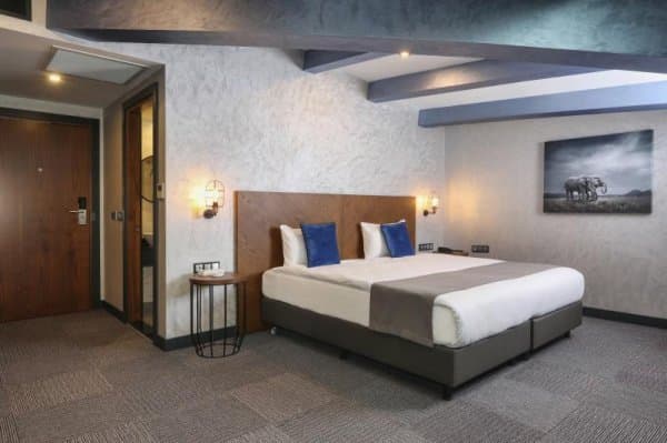 Çatı Katı Deluxe Oda 1