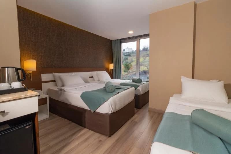 Triple Doğa Manzaralı  3