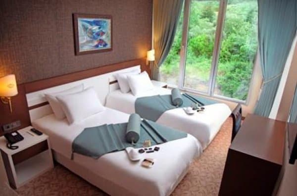 Standart Oda Doğa Manzaralı  1