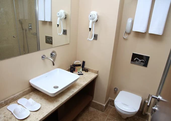 Standart Oda Doğa Manzaralı  4