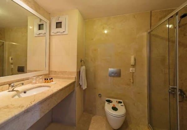 Superıor Hotel Room 2