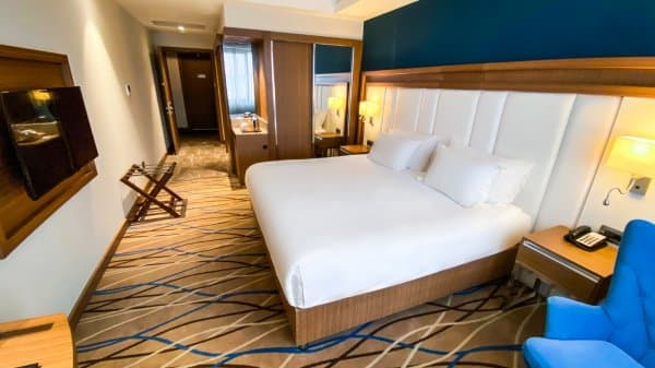 Superior King Room City View 3