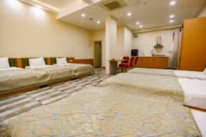 Large Family Room 2