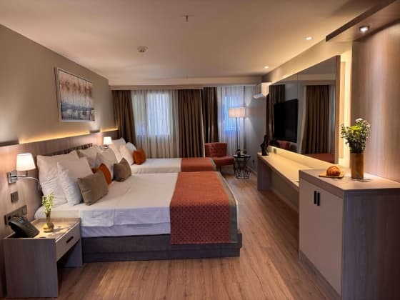 Deluxe Family Room 3