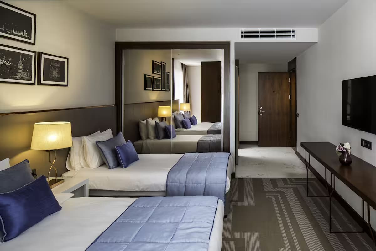 Deluxe Şehir Manzaralı 2