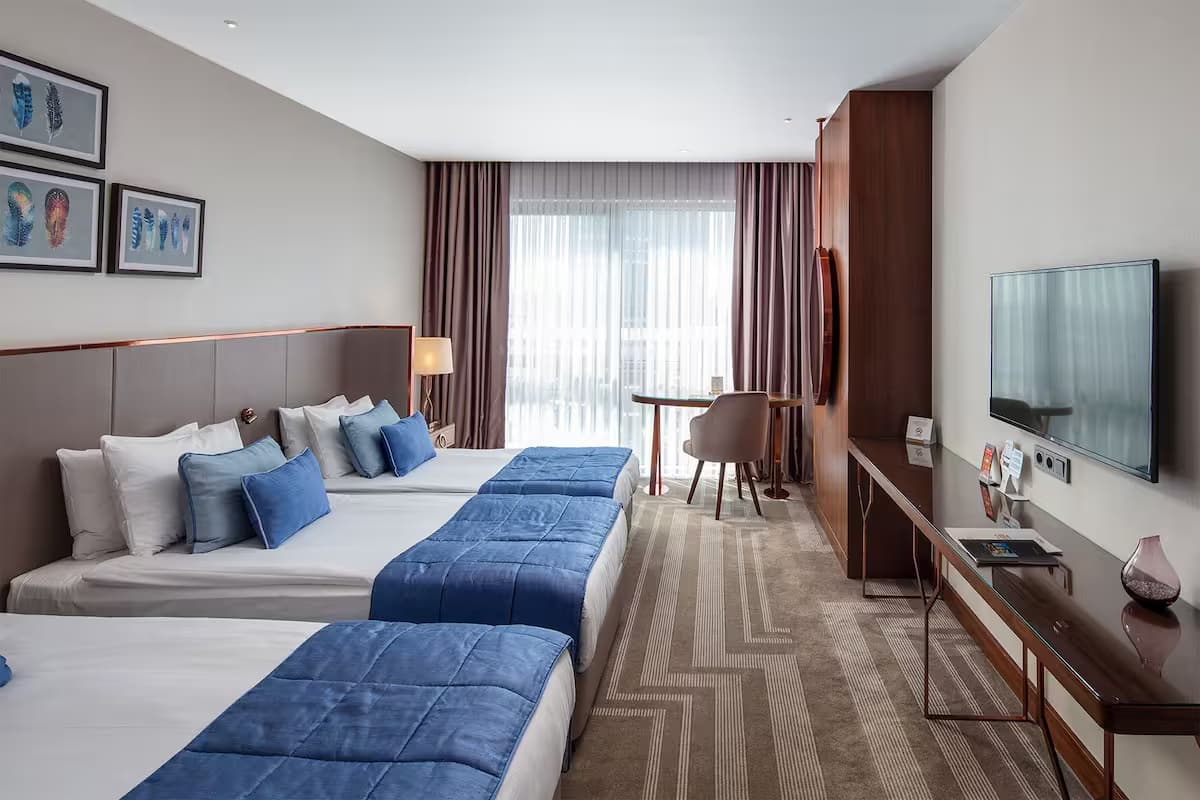 Deluxe Şehir Manzaralı 1