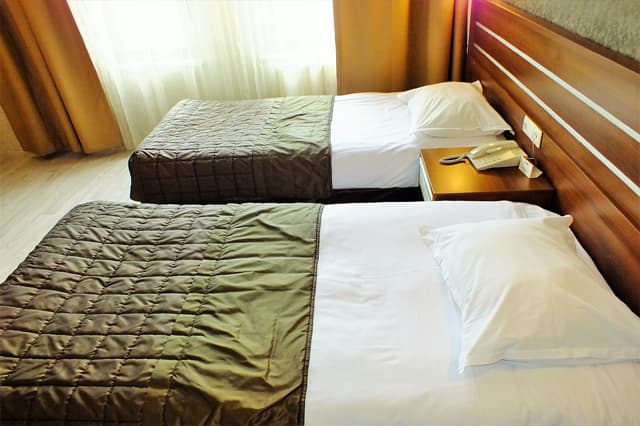 Standart Triple Oda 1