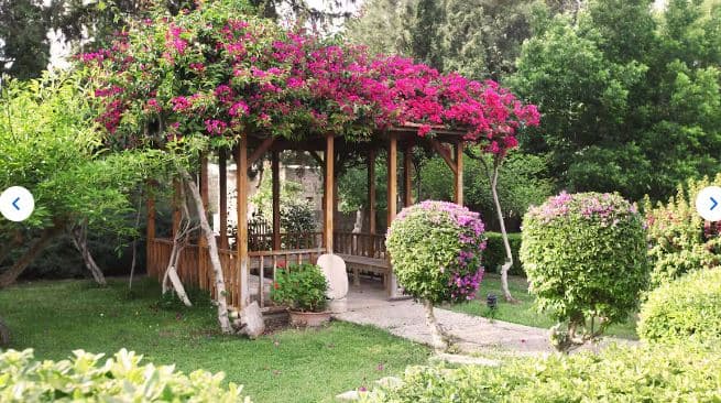 Taş Ev Standart Oda 2