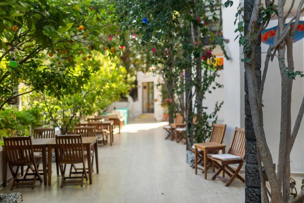 Eden Pyara Hotel-resim-6