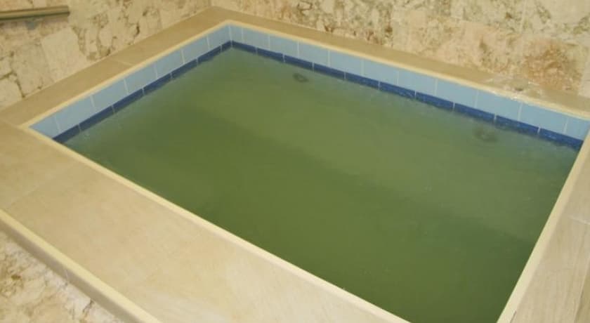 Kaplıca Termal Hotel-resim-2