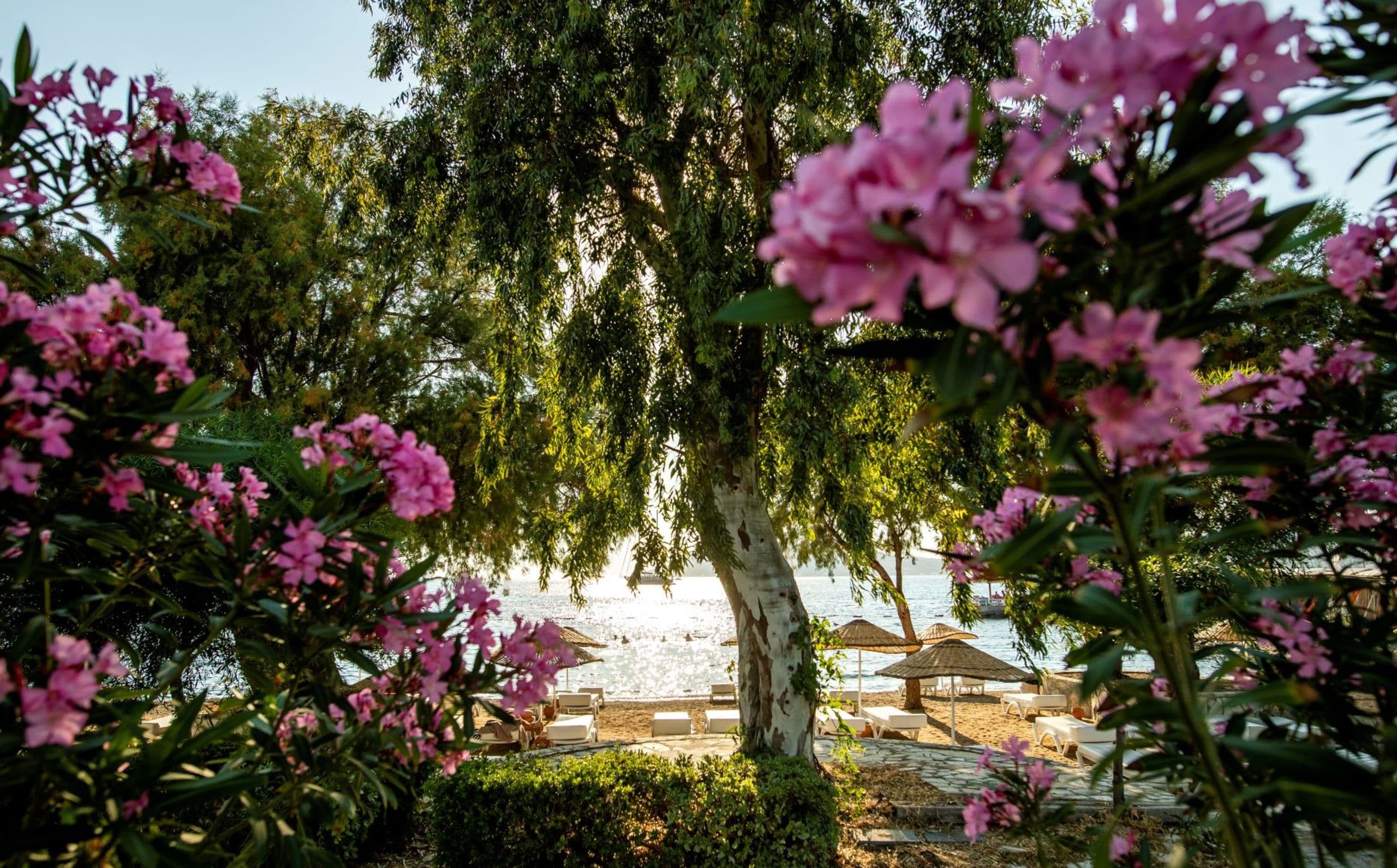 Yalıpark Beach Hotel-14