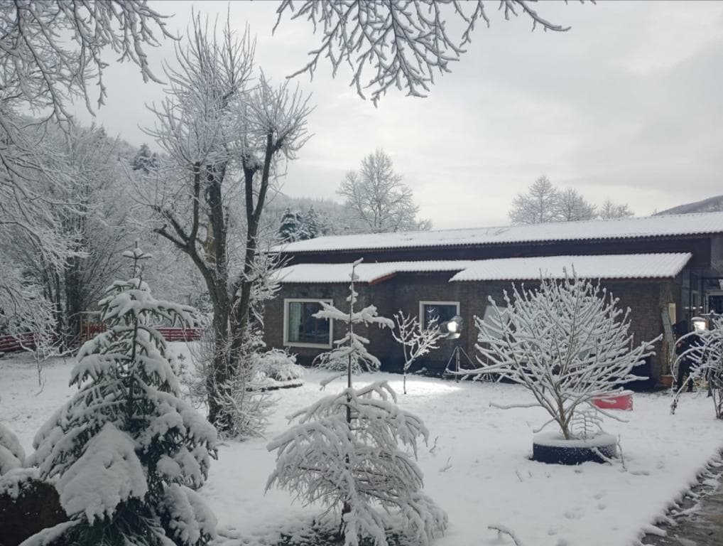 Feel & Live Hotel Villas-21