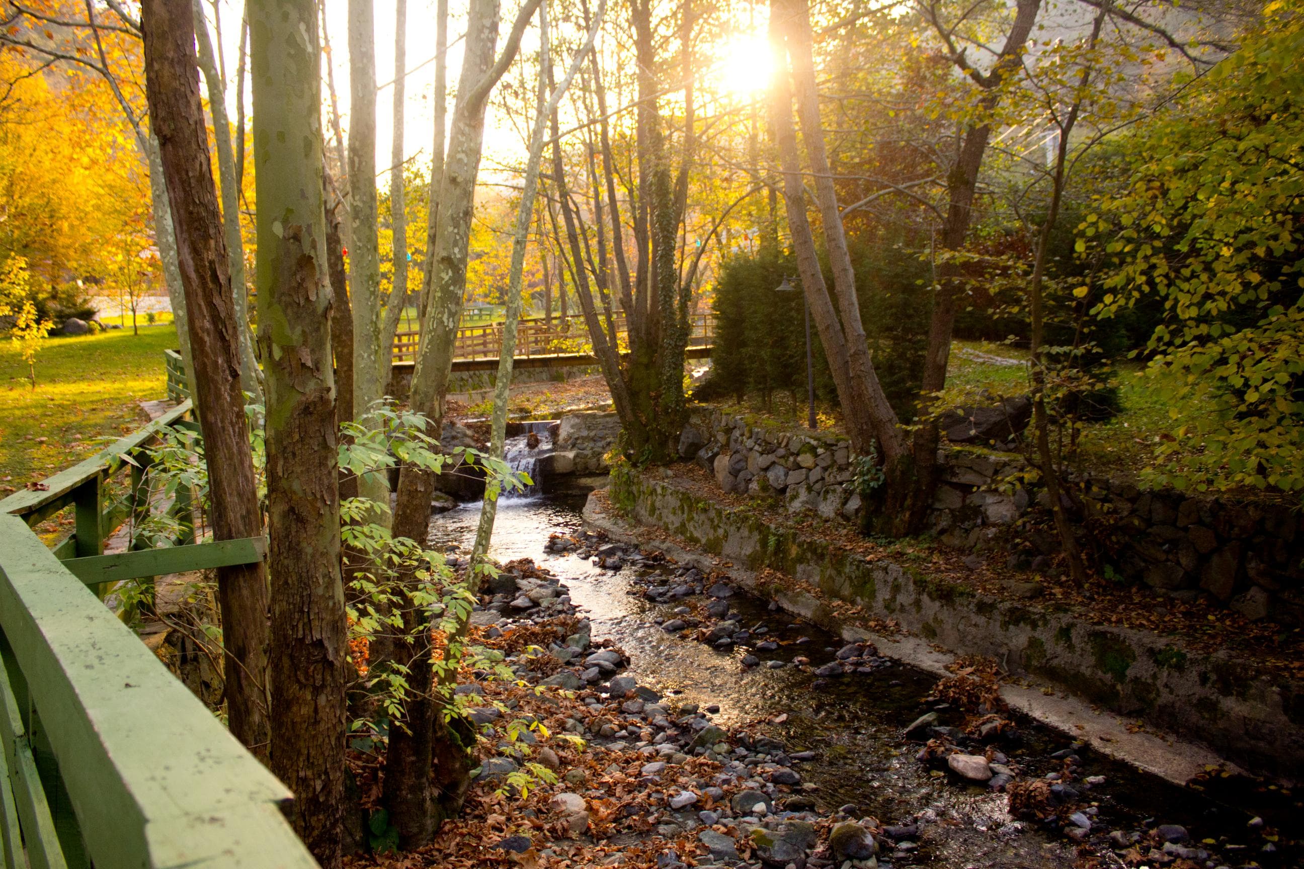 Feel & Live Hotel Villas-9