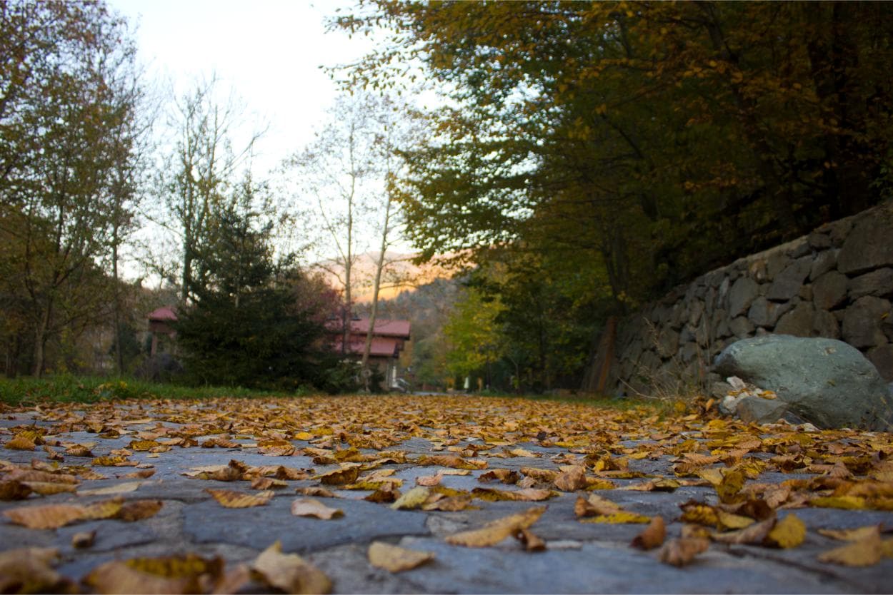 Feel & Live Hotel Villas-15