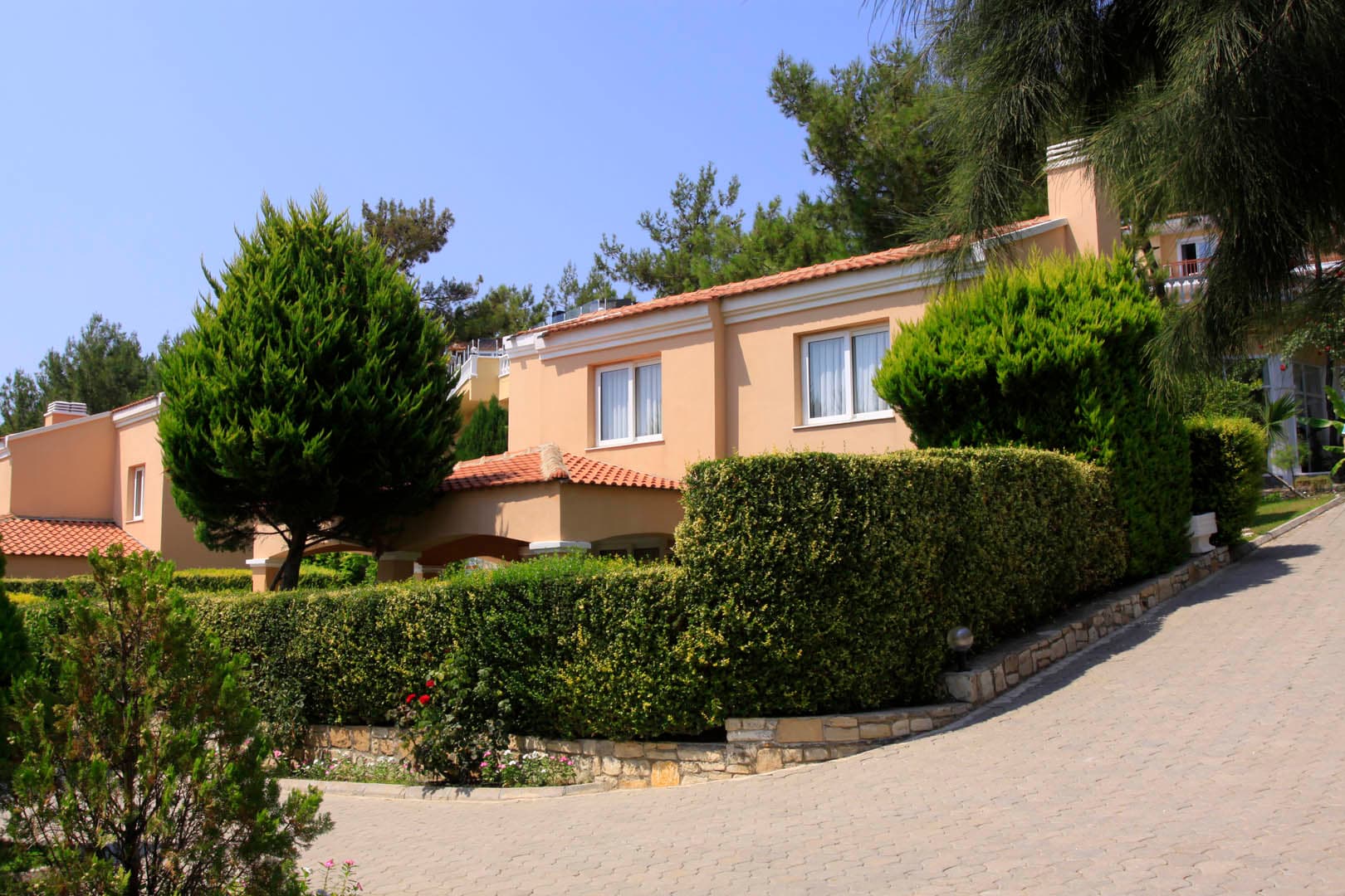 Pine Club Boutique Hotel-39