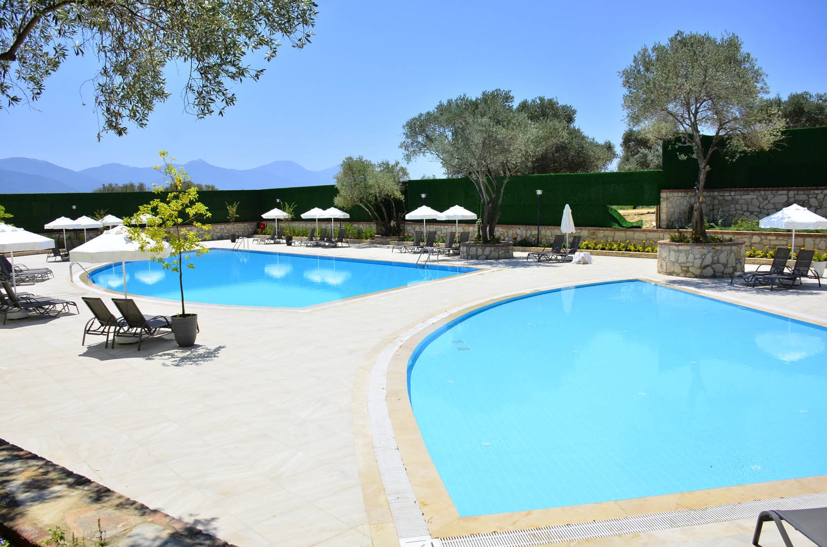 Pine Club Boutique Hotel-20