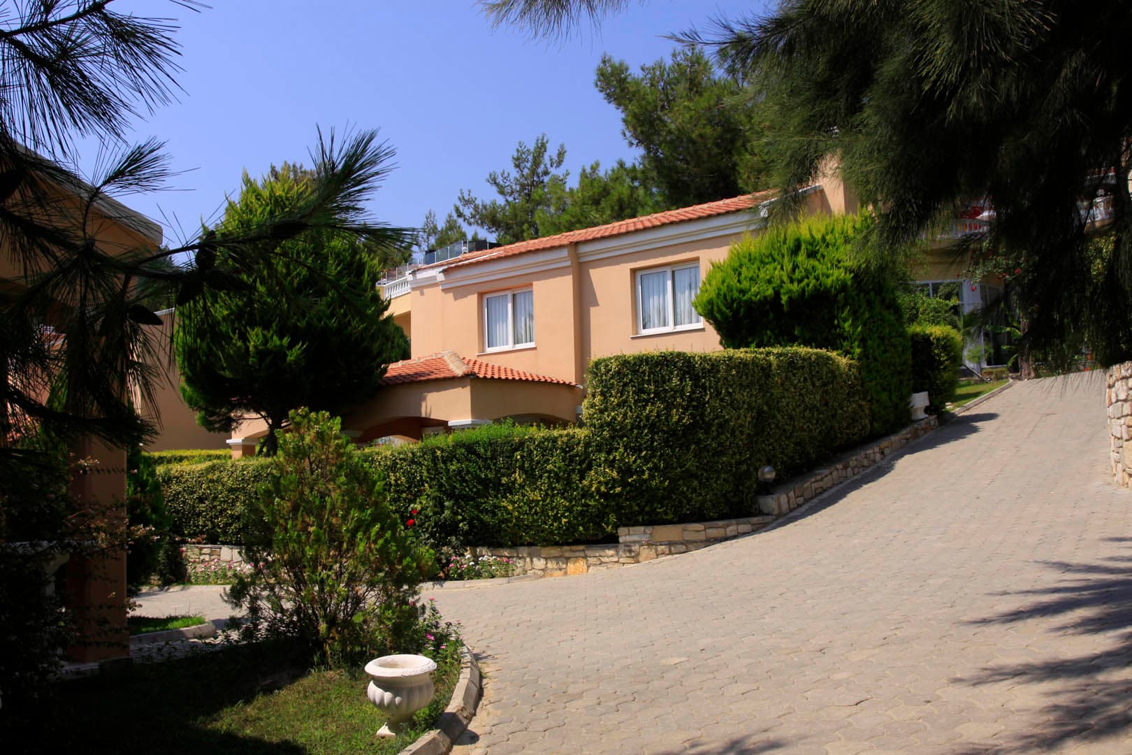 Pine Club Boutique Hotel-15