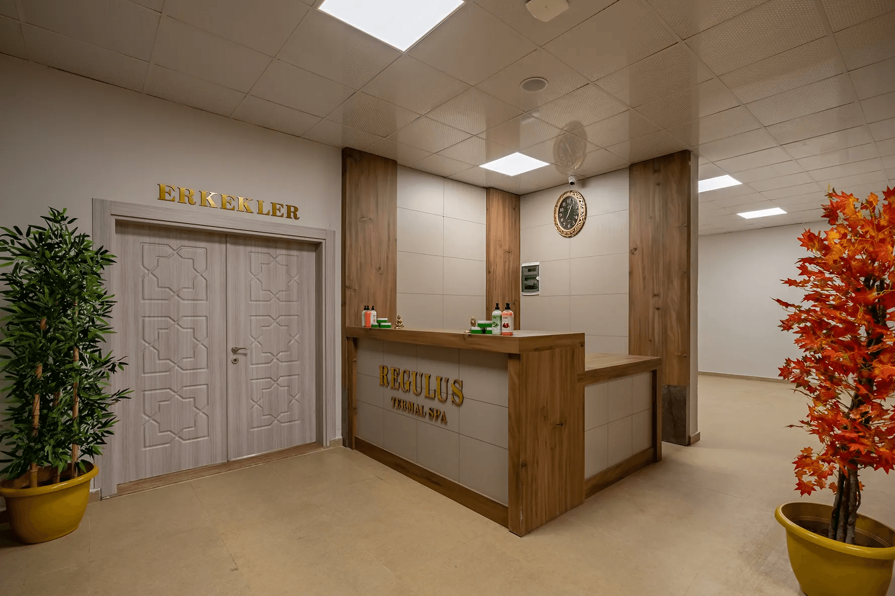 Regulus Termal Hotel-41