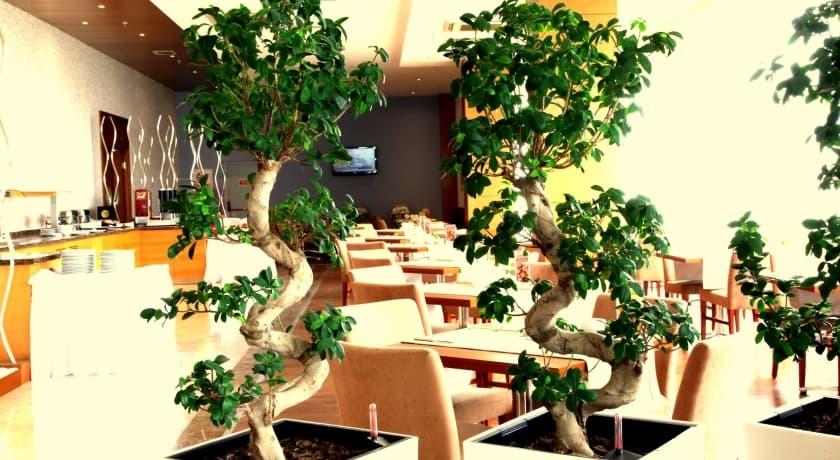 Oruçoğlu Oreko Otel Manisa-3