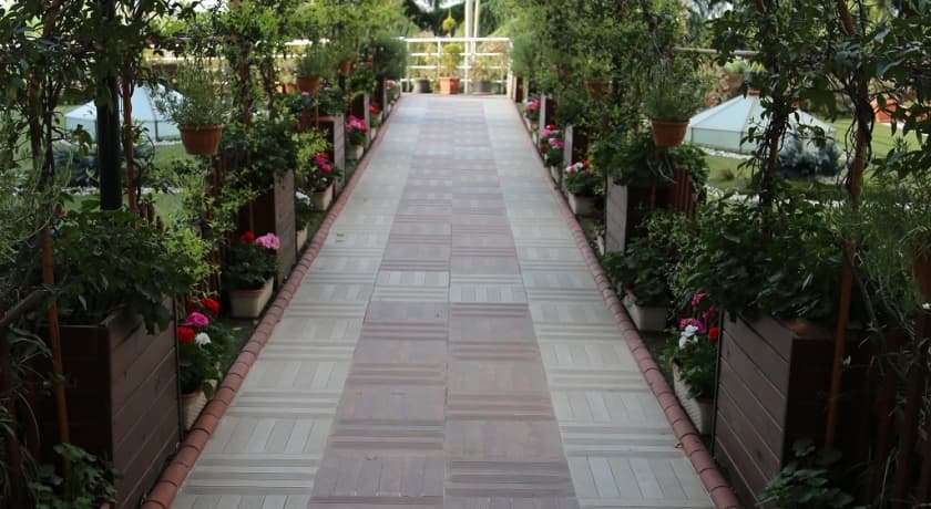 Elegance Resort Hotel-175