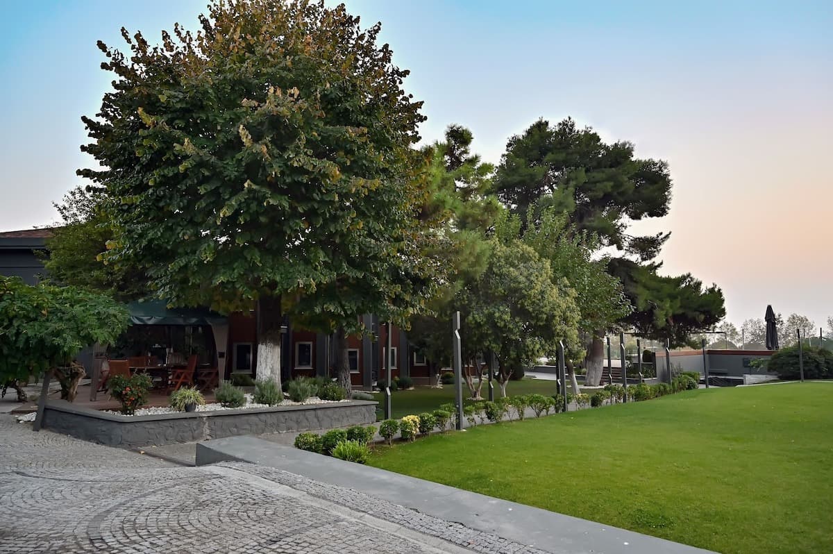 Denizatı Plus Hotel-10