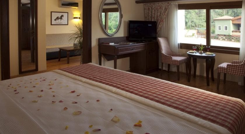 Padok Premium Hotel and Stables-10